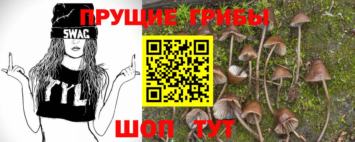 как найти закладки  Галлюциногенные грибы Magic Shrooms  Вологда  Вход с VPN  Псилоцибиновые грибы ЛСД 